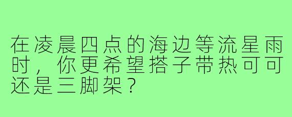 在凌晨四点的海边等流星雨时，你更希望搭子带热可可还是三脚架？
