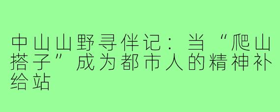中山山野寻伴记:当“爬山搭子”成为都市人的精神补给站