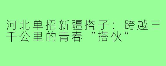 河北单招新疆搭子:跨越三千公里的青春“搭伙”