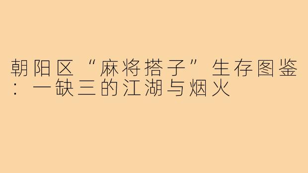 朝阳区“麻将搭子”生存图鉴：一缺三的江湖与烟火