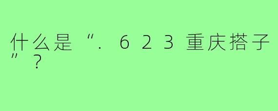 什么是“.623重庆搭子”？
