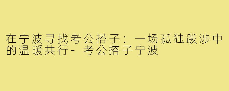 在宁波寻找考公搭子：一场孤独跋涉中的温暖共行-考公搭子宁波