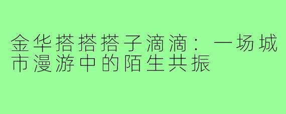 金华搭搭搭子滴滴：一场城市漫游中的陌生共振