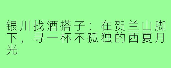 银川找酒搭子：在贺兰山脚下，寻一杯不孤独的西夏月光