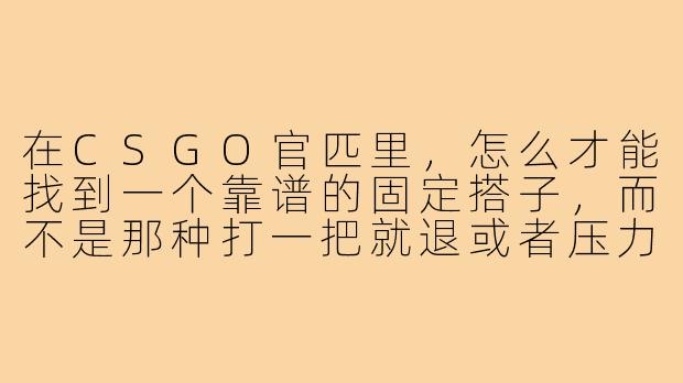 在CSGO官匹里，怎么才能找到一个靠谱的固定搭子，而不是那种打一把就退或者压力队友的“独狼”？-csgo官匹游戏搭子