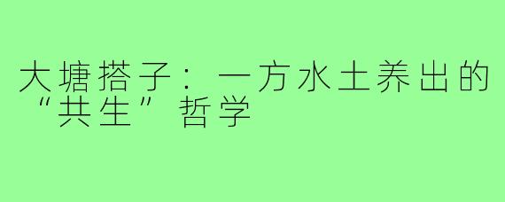 大塘搭子:一方水土养出的“共生”哲学
