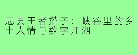 冠县王者搭子：峡谷里的乡土人情与数字江湖