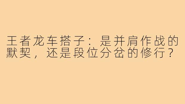 王者龙车搭子:是并肩作战的默契,还是段位分岔的修行?