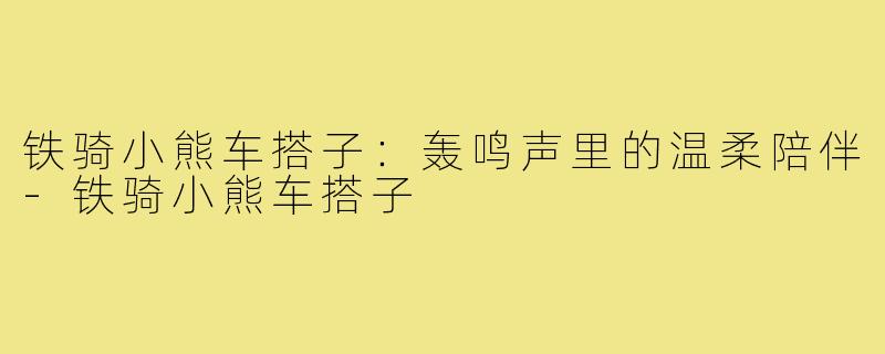 铁骑小熊车搭子：轰鸣声里的温柔陪伴-铁骑小熊车搭子