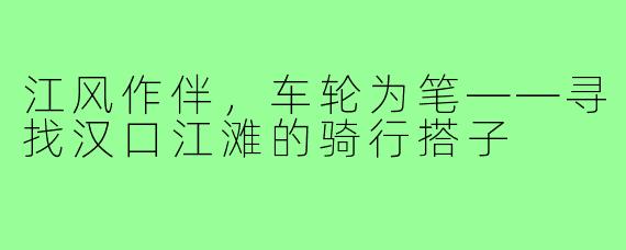 江风作伴,车轮为笔——寻找汉口江滩的骑行搭子