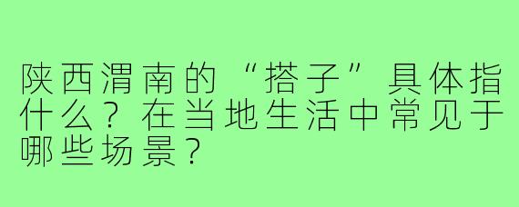 陕西渭南的“搭子”具体指什么？在当地生活中常见于哪些场景？