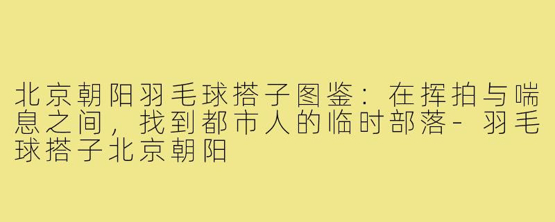 北京朝阳羽毛球搭子图鉴：在挥拍与喘息之间，找到都市人的临时部落-羽毛球搭子北京朝阳