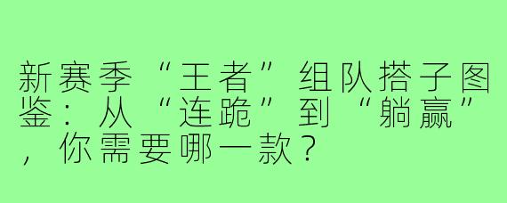 新赛季“王者”组队搭子图鉴:从“连跪”到“躺赢”,你需要哪一款?