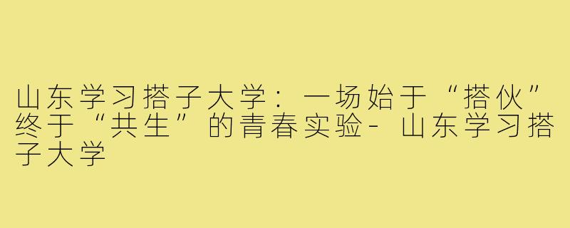 山东学习搭子大学:一场始于“搭伙”终于“共生”的青春实验-山东学习搭子大学