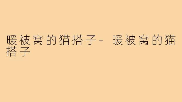 暖被窝的猫搭子-暖被窝的猫搭子