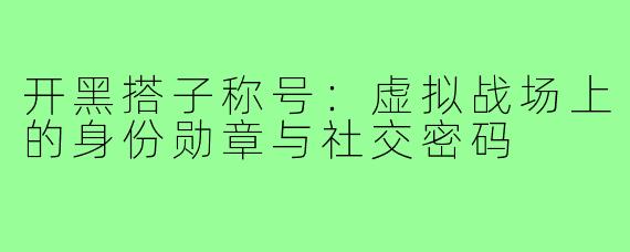 开黑搭子称号:虚拟战场上的身份勋章与社交密码