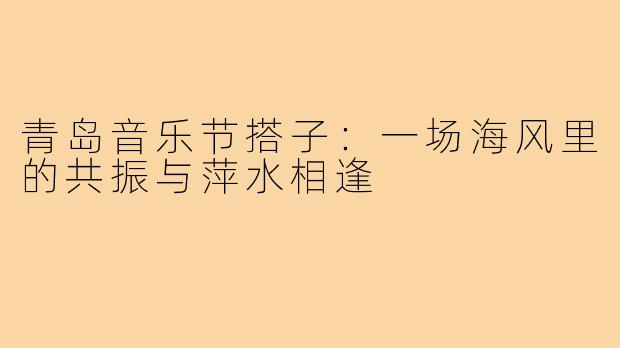 青岛音乐节搭子：一场海风里的共振与萍水相逢