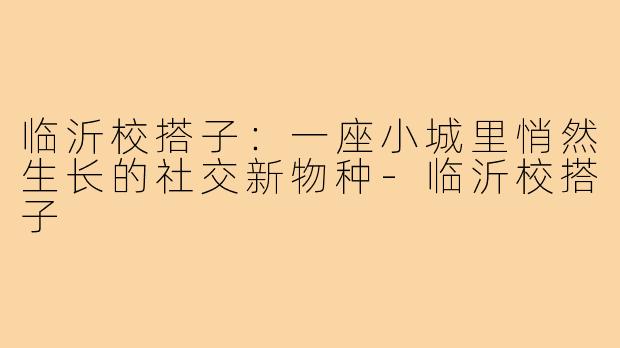 临沂校搭子：一座小城里悄然生长的社交新物种-临沂校搭子