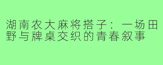 湖南农大麻将搭子：一场田野与牌桌交织的青春叙事