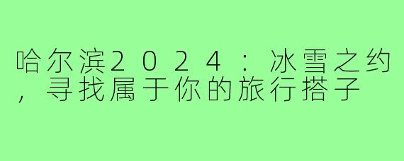 哈尔滨2024:冰雪之约,寻找属于你的旅行搭子