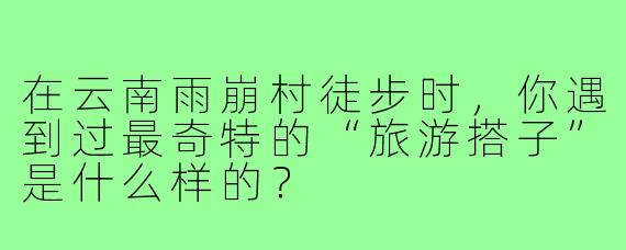 在云南雨崩村徒步时，你遇到过最奇特的“旅游搭子”是什么样的？