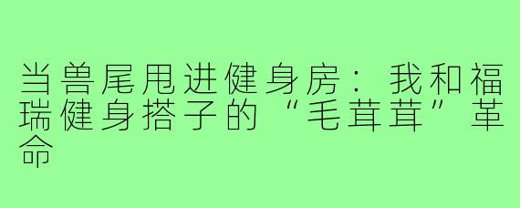 当兽尾甩进健身房:我和福瑞健身搭子的“毛茸茸”革命