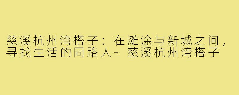 慈溪杭州湾搭子:在滩涂与新城之间,寻找生活的同路人-慈溪杭州湾搭子