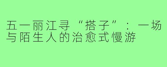 五一丽江寻“搭子”:一场与陌生人的治愈式慢游