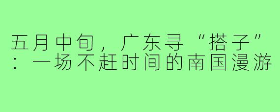 五月中旬,广东寻“搭子”:一场不赶时间的南国漫游