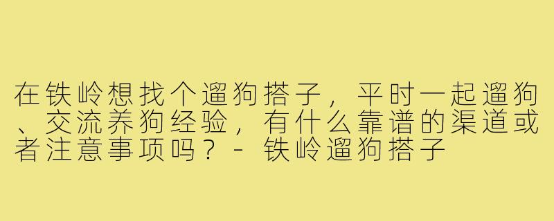 在铁岭想找个遛狗搭子,平时一起遛狗、交流养狗经验,有什么靠谱的渠道或者注意事项吗?-铁岭遛狗搭子