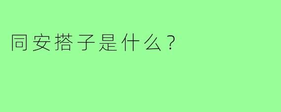 同安搭子是什么?