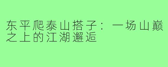 东平爬泰山搭子:一场山巅之上的江湖邂逅