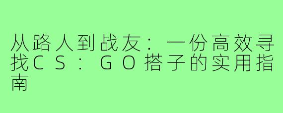 从路人到战友:一份高效寻找CS:GO搭子的实用指南