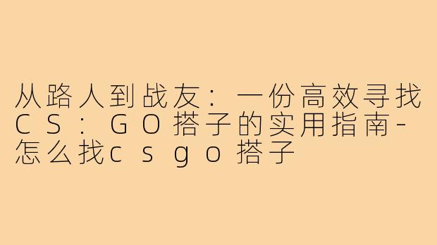从路人到战友:一份高效寻找CS:GO搭子的实用指南-怎么找csgo搭子