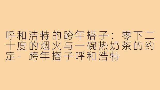 呼和浩特的跨年搭子:零下二十度的烟火与一碗热奶茶的约定-跨年搭子呼和浩特