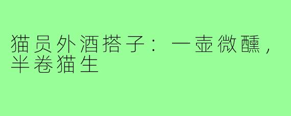 猫员外酒搭子：一壶微醺，半卷猫生