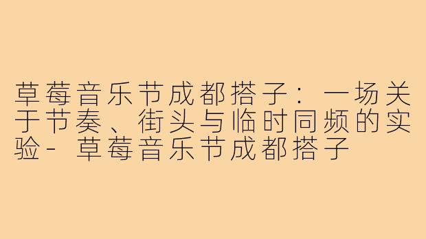 草莓音乐节成都搭子:一场关于节奏、街头与临时同频的实验-草莓音乐节成都搭子