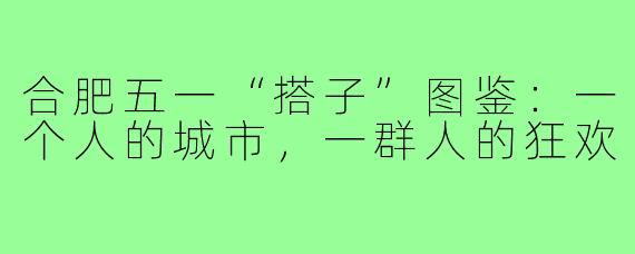 合肥五一“搭子”图鉴:一个人的城市,一群人的狂欢
