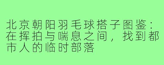 北京朝阳羽毛球搭子图鉴：在挥拍与喘息之间，找到都市人的临时部落
