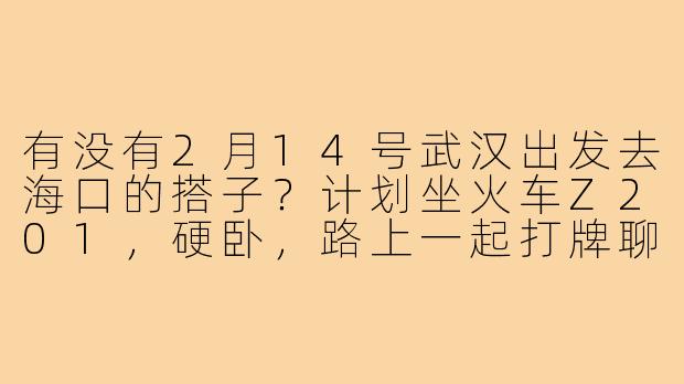 有没有2月14号武汉出发去海口的搭子？计划坐火车Z201，硬卧，路上一起打牌聊天，到了海口可以一起逛骑楼老街和吃海鲜。-武汉去海口的搭子