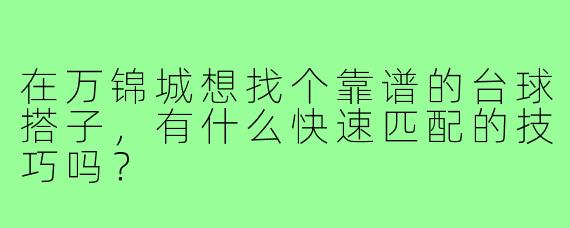 在万锦城想找个靠谱的台球搭子,有什么快速匹配的技巧吗?