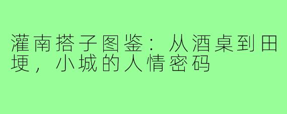 灌南搭子图鉴：从酒桌到田埂，小城的人情密码
