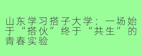 山东学习搭子大学:一场始于“搭伙”终于“共生”的青春实验