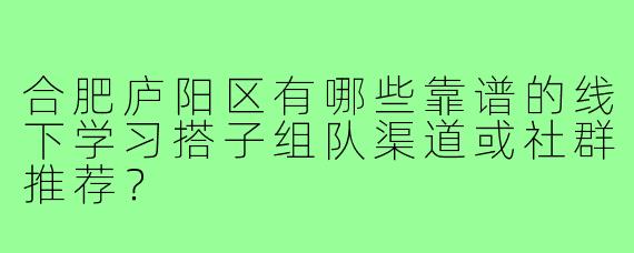 合肥庐阳区有哪些靠谱的线下学习搭子组队渠道或社群推荐？