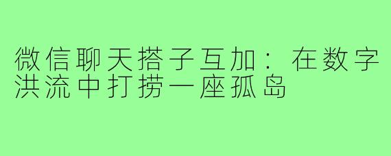 微信聊天搭子互加：在数字洪流中打捞一座孤岛