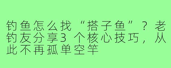 钓鱼怎么找“搭子鱼”？老钓友分享3个核心技巧，从此不再孤单空竿