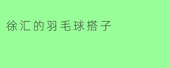 徐汇的羽毛球搭子