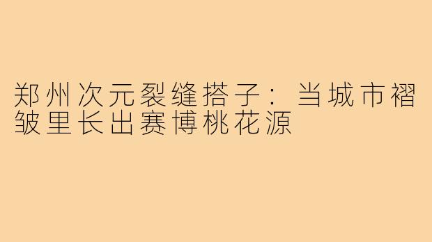 郑州次元裂缝搭子:当城市褶皱里长出赛博桃花源