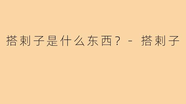 搭剌子是什么东西？-搭剌子