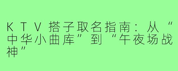 KTV搭子取名指南：从“中华小曲库”到“午夜场战神”